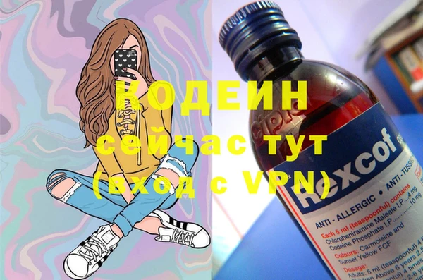 бошки Коряжма