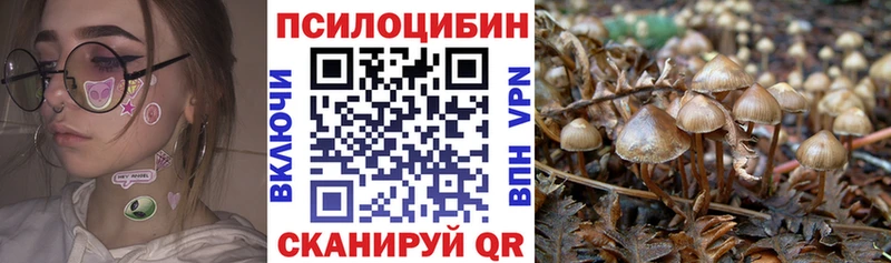 Купить где  Сунжа  Псилоцибиновые грибы GOLDEN TEACHER 