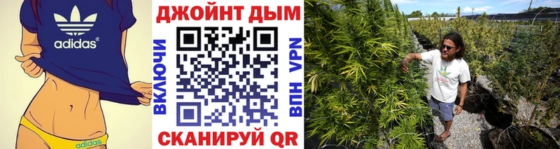 Купить  Сунжа  Бошки Шишки VHQ 